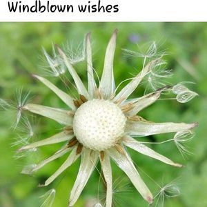 Meet your Posher, Judith